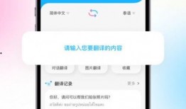 泰国翻译爆料视频下载,揭秘幕后真相